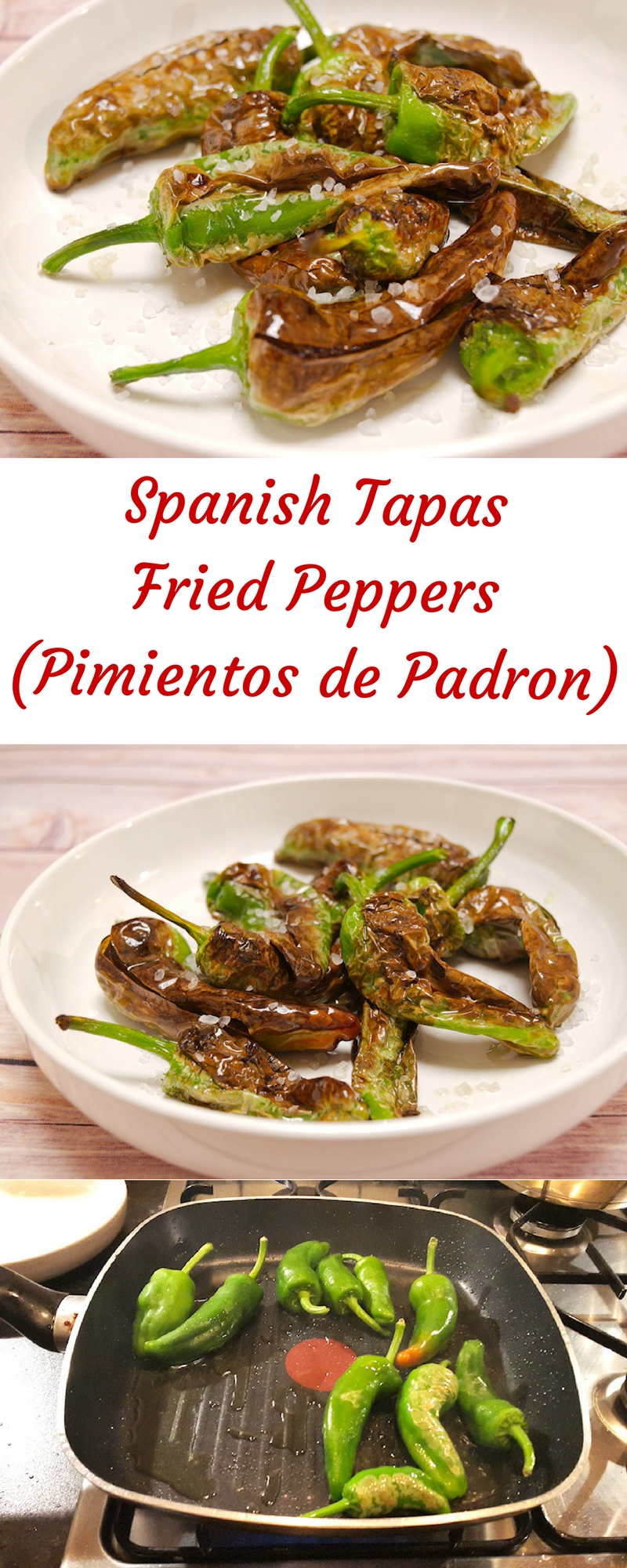 Spanish Fried Peppers (Pimientos de Padron)